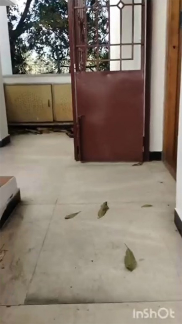 Tamil Coimbatore Paid Cpl – Riding & Fucking – Update